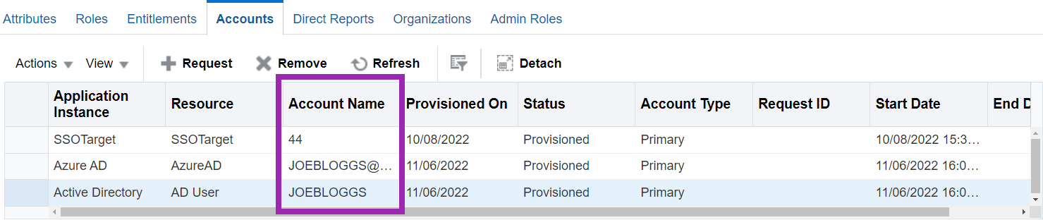 Screenshot of Oracle Identity Manager (OIM) Self Service UI Users -> Accounts Screen with Name Property highlighted.